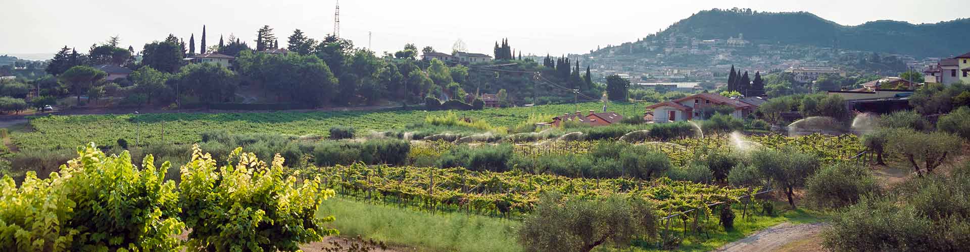 Agriturismo Al Colle