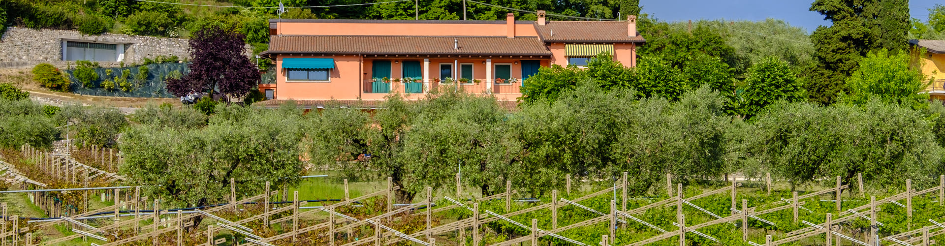 Fattoria